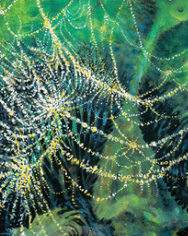 What Makes a Dr. Seuss Art Print Valuable?