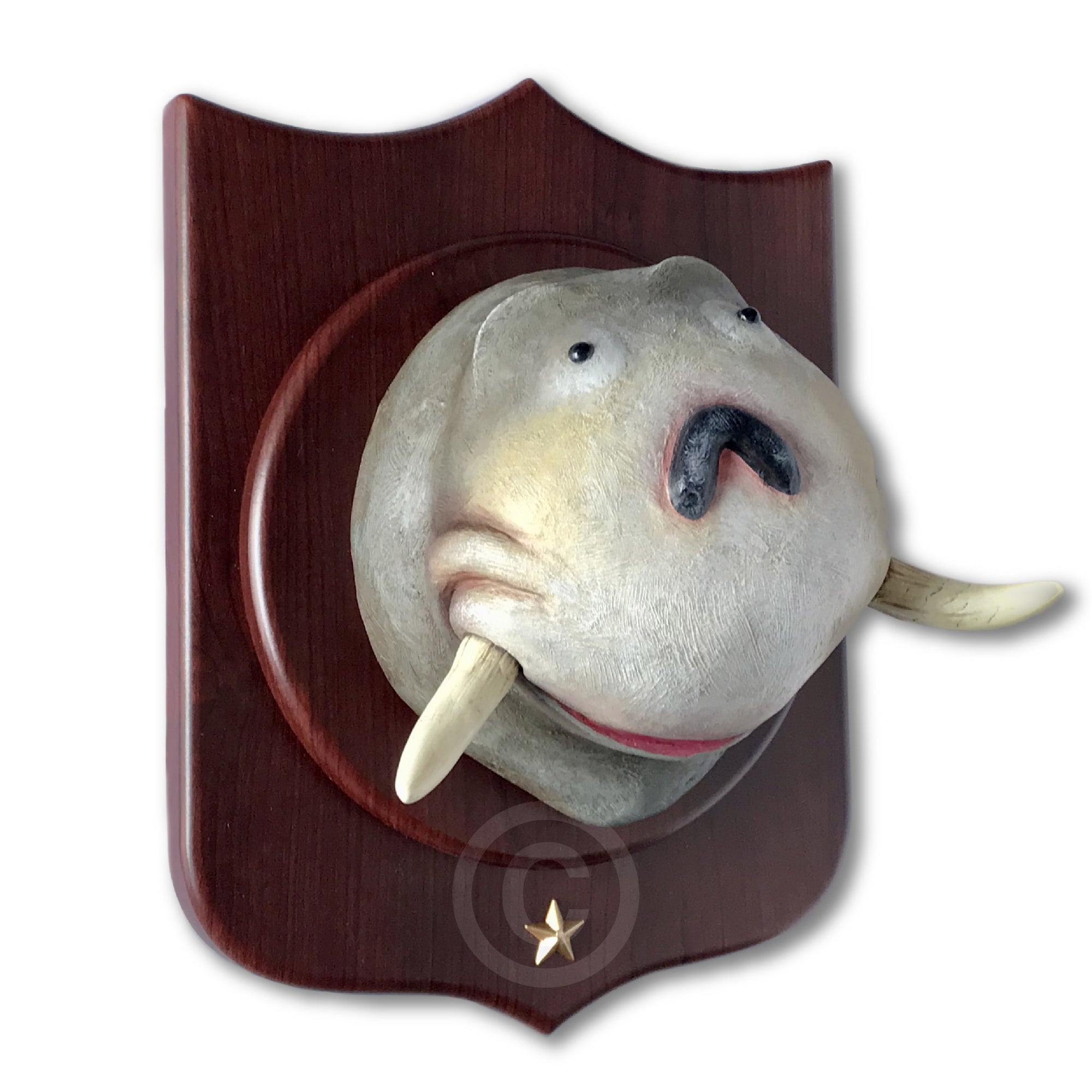 The Seasick Walrus