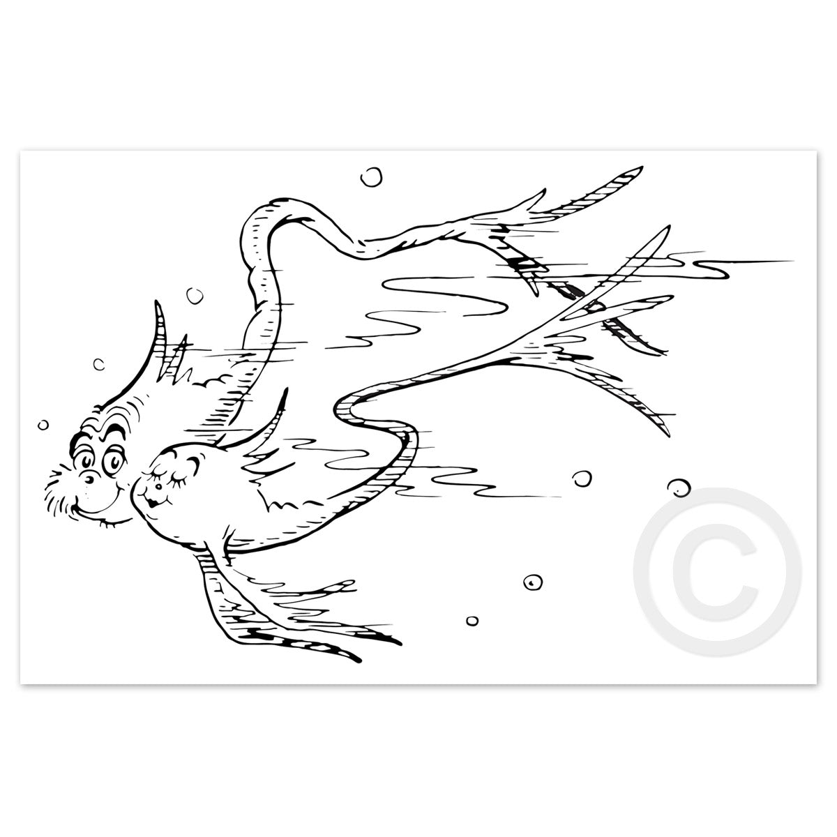 Cuddle Fish