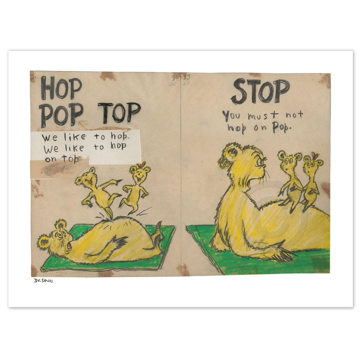 Hop Pop Top - Diptych and Single