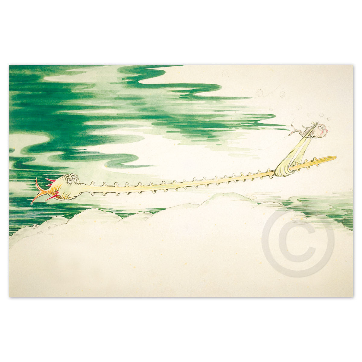 Sawfish with Such a Long Snout