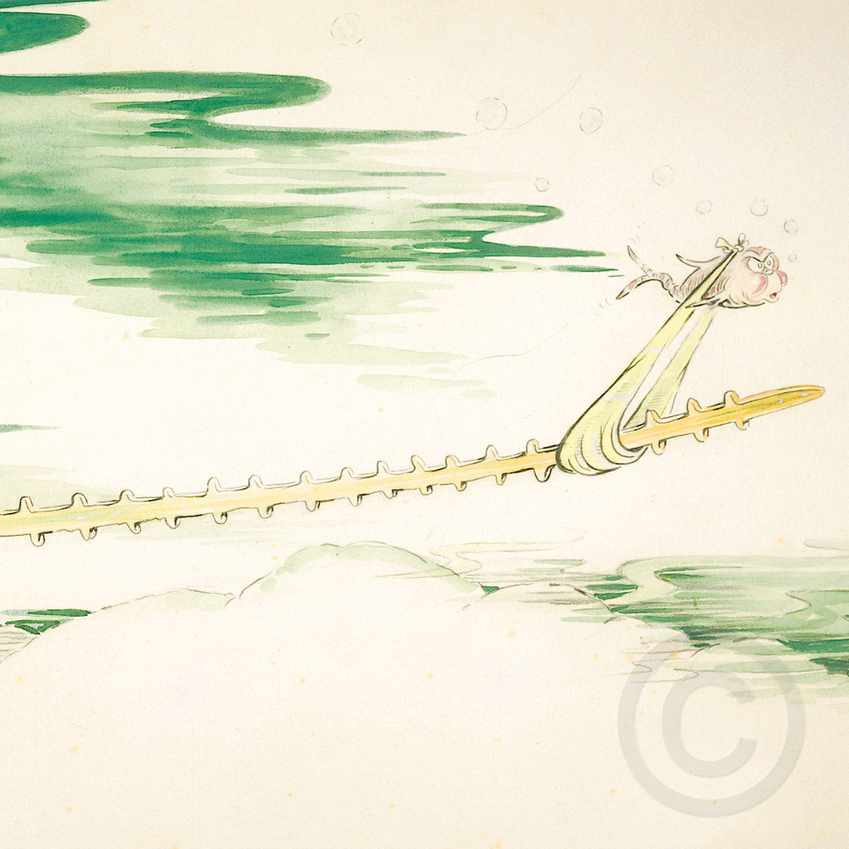 Sawfish with Such a Long Snout