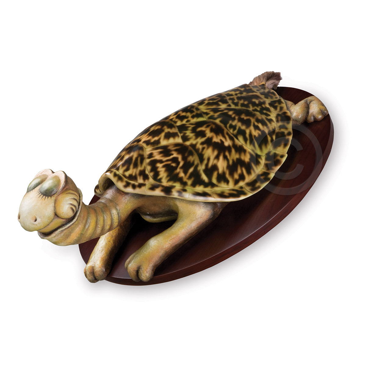 Turtle-Necked Sea-Turtle