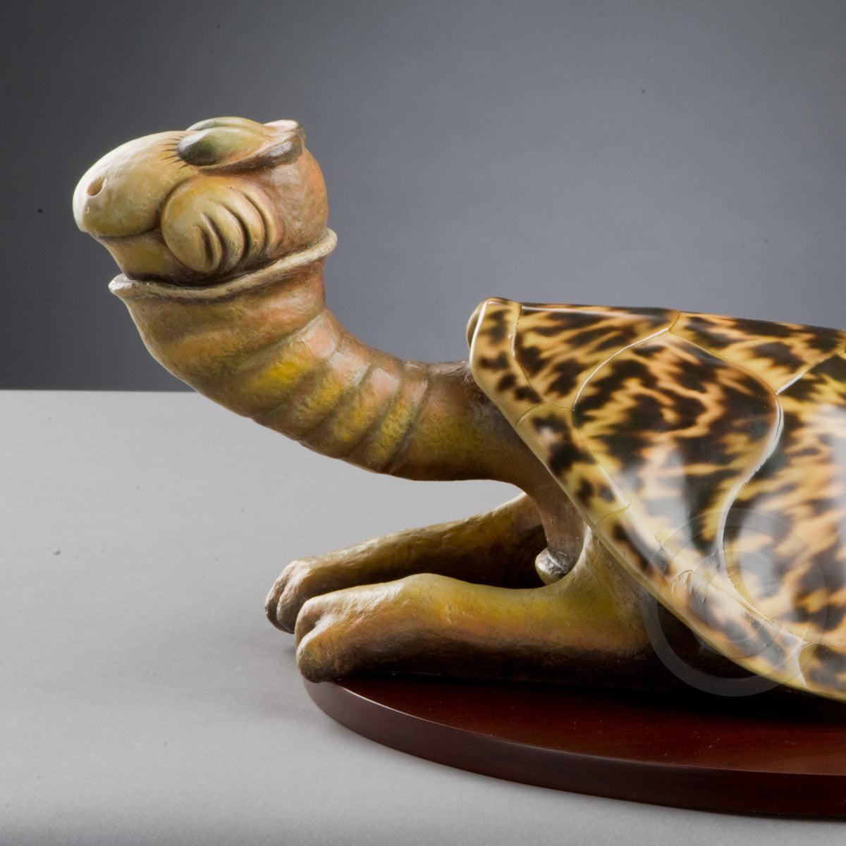 Turtle-Necked Sea-Turtle