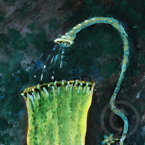 Cat in Obsolete Shower Bath