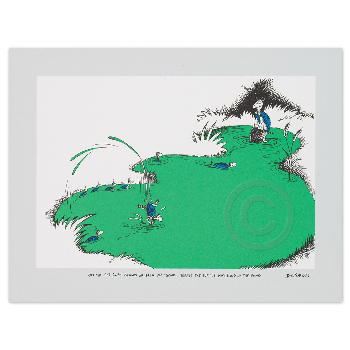 On the Far Away Island of Salamasond, Yertle the Turtle was King of the Pond